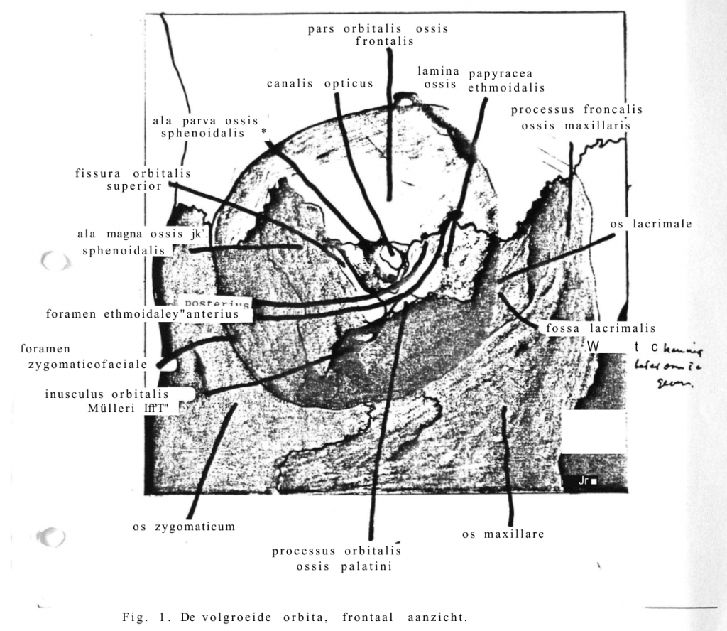 thesis unpublished manuscript